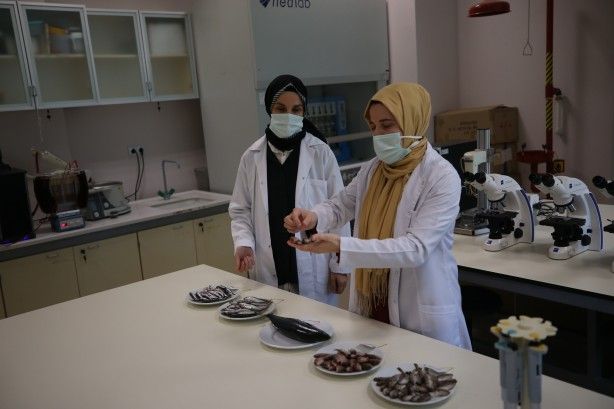 2 yıllık araştırmayla ortaya çıktı! 1