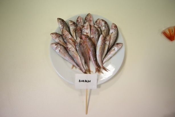 2 yıllık araştırmayla ortaya çıktı! 10