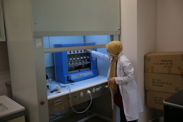 2 yıllık araştırmayla ortaya çıktı! 2