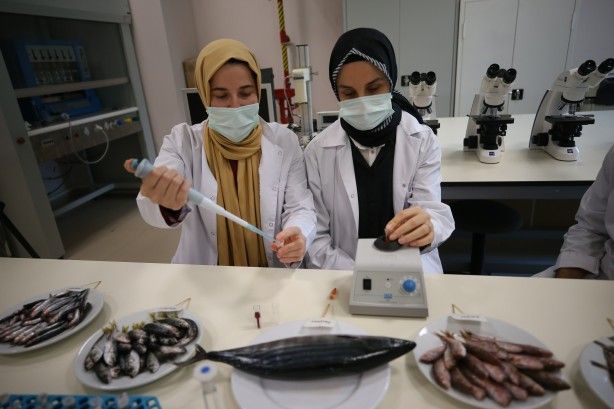 2 yıllık araştırmayla ortaya çıktı! 3