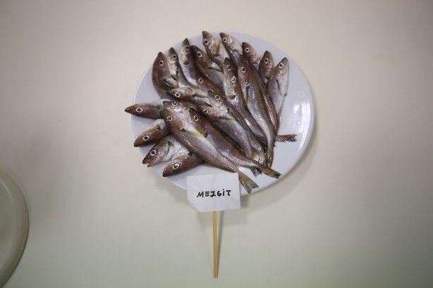 2 yıllık araştırmayla ortaya çıktı! 5