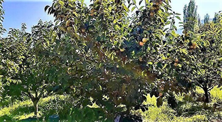 Hırsızın evini basan jandarma şaştı kaldı 4