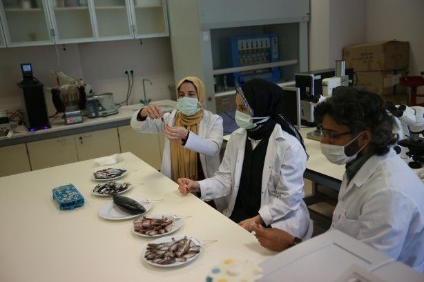 2 yıllık araştırmayla ortaya çıktı! 9