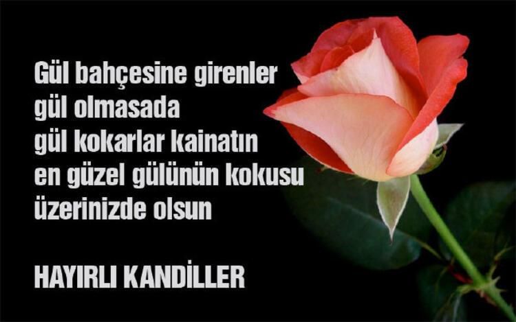 Mevlid Kandili msj resimli 2021 | En güzel, anlamlı Mevlid Kandili mesajları Facebook, Whatsapp 3