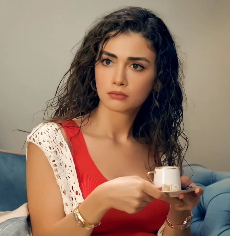 İçimizden Biri neden final yapıyor? İçimizden Biri dizisi final bölümü ne zaman? 10