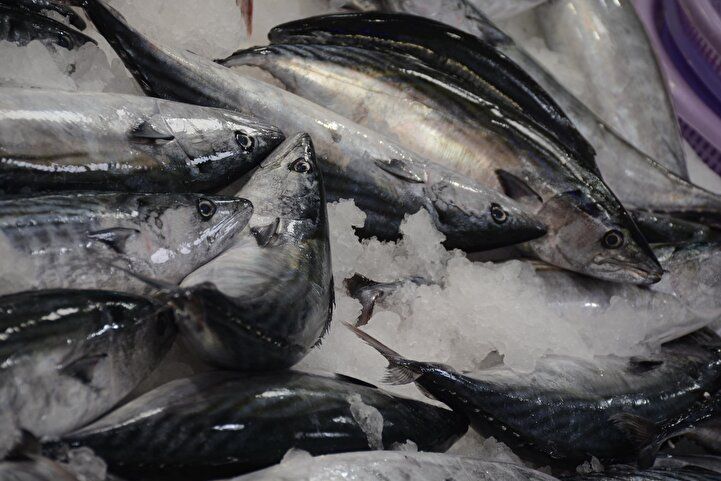 Yeni gözde oldu, iki kilosu tam 400 lira! 3