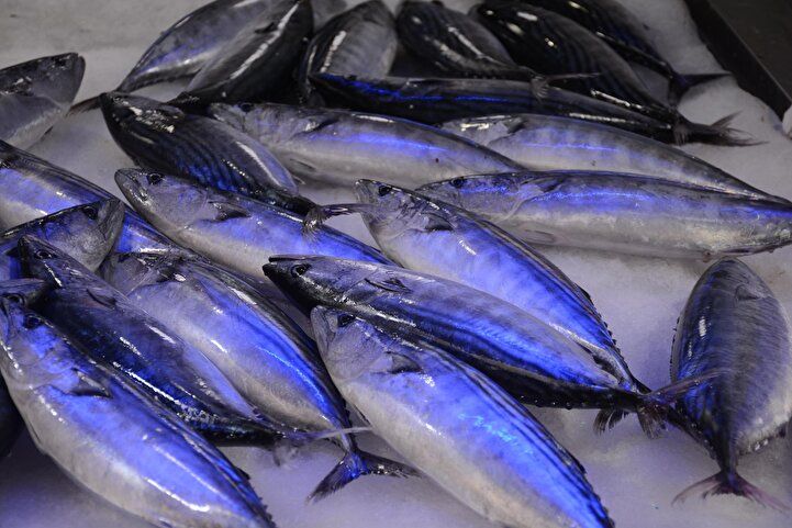 Yeni gözde oldu, iki kilosu tam 400 lira! 7