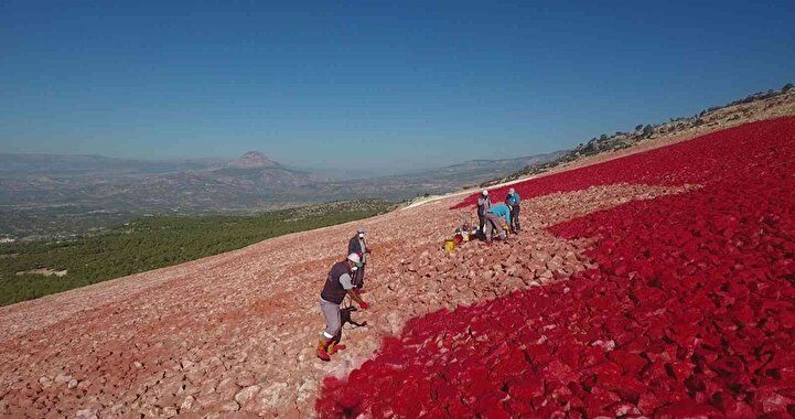 Dünyanın en büyüğü! Tam 22 bin metrekare... 1
