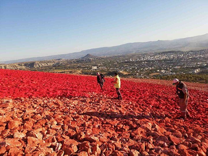 Dünyanın en büyüğü! Tam 22 bin metrekare... 3