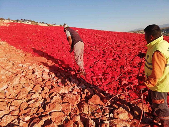 Dünyanın en büyüğü! Tam 22 bin metrekare... 2