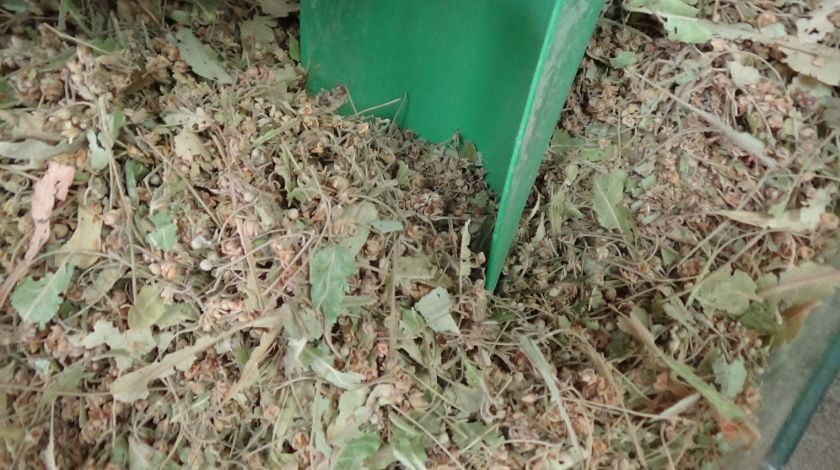 Aşırı talep var, fiyatlar daha da yükselecek 2