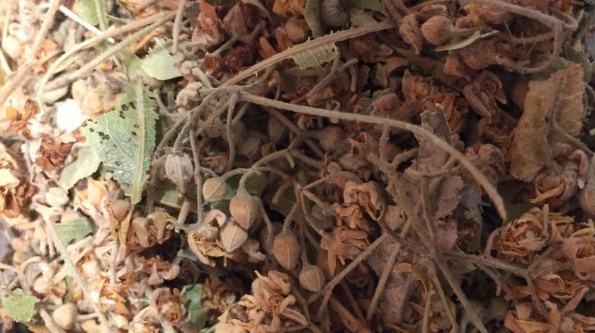 Aşırı talep var, fiyatlar daha da yükselecek 3