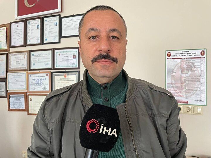 Sahilde gören şoke oldu! "Yaratık gibi" 4