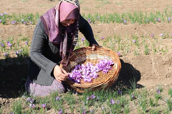 Gramla satılıyor! Fiyatı dudak uçuklattı 2