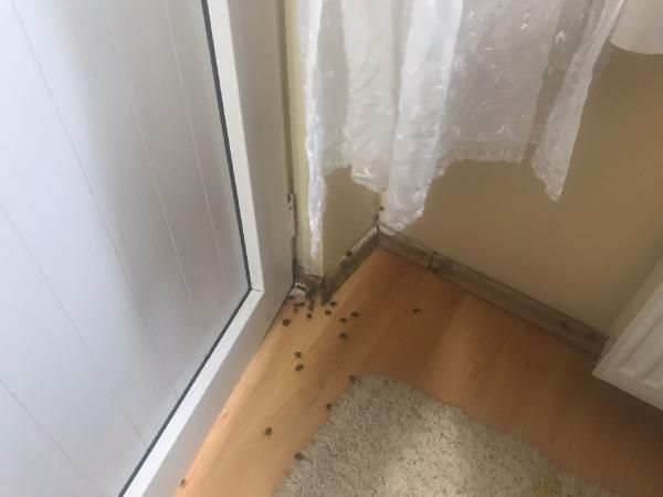 İstanbul'da kabus! Her yeri sardılar... 9