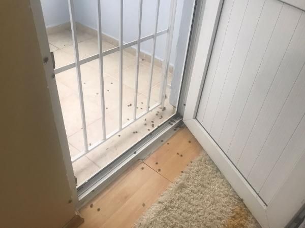 İstanbul'da kabus! Her yeri sardılar... 12