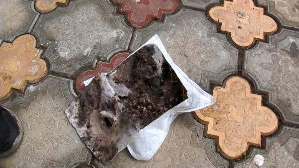 İstanbul'da kabus! Her yeri sardılar... 1