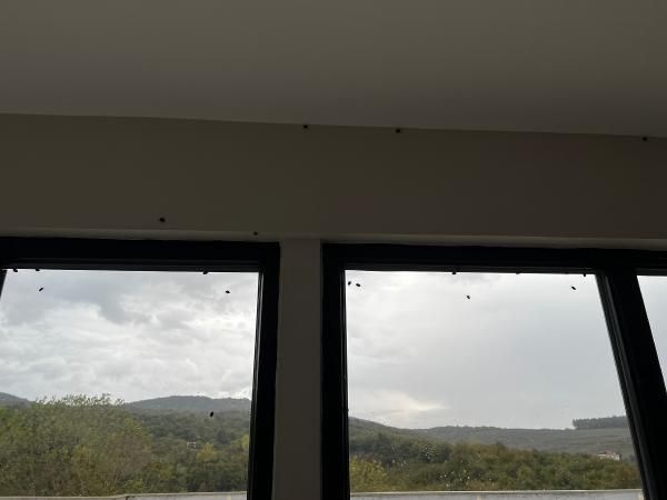 İstanbul'da kabus! Her yeri sardılar... 5