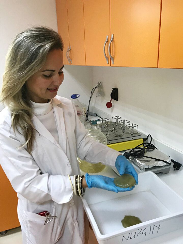 Aman dikkat! Dokunan hastanelik oluyor 1