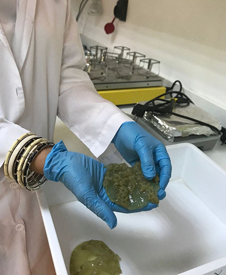 Aman dikkat! Dokunan hastanelik oluyor 2