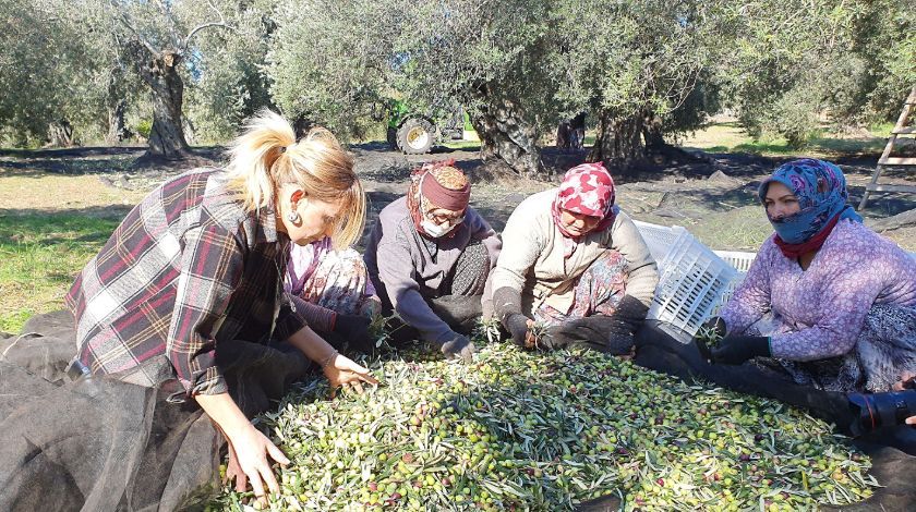Yöneticiliği bırakıp bu işe başladı... 2