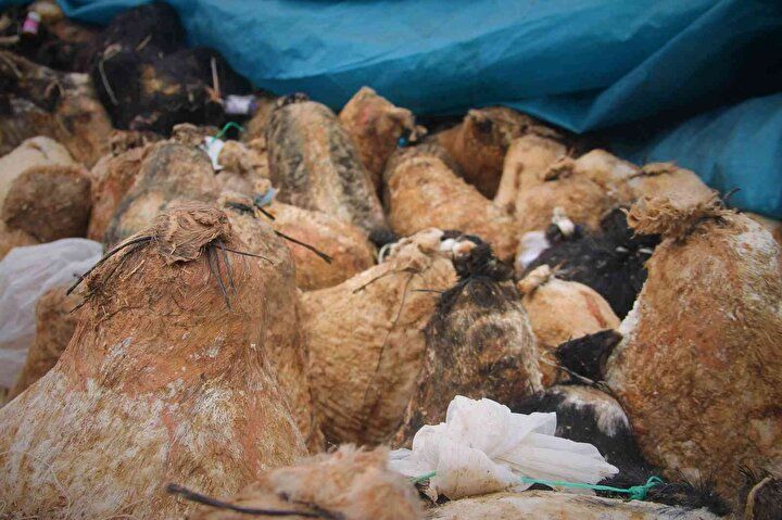 Beş aydır heyecanla bekliyorlardı: Mağaradan şölenle çıkarıldı 1