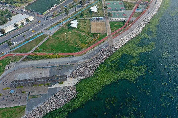 İzmir Körfezi'nde şoke eden görüntü! Her yeri istila etti 10