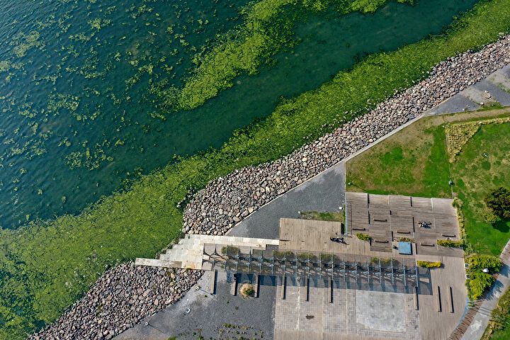 İzmir Körfezi'nde şoke eden görüntü! Her yeri istila etti 6