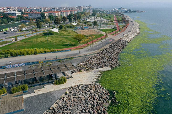 İzmir Körfezi'nde şoke eden görüntü! Her yeri istila etti 12