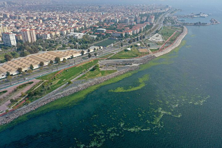 İzmir Körfezi'nde şoke eden görüntü! Her yeri istila etti 13
