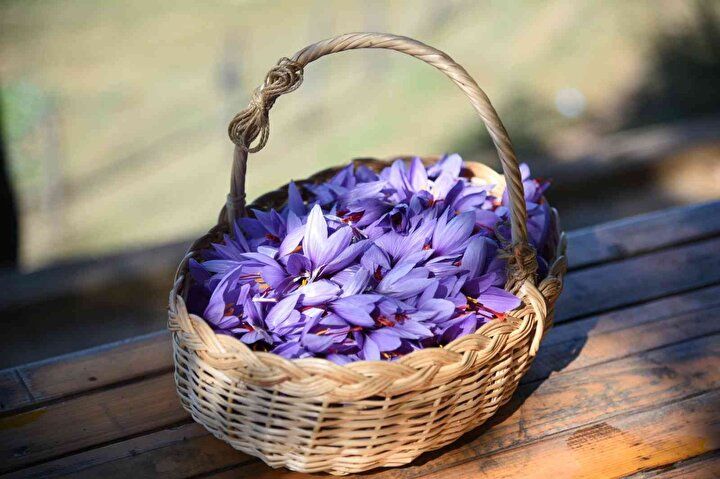 Kilosu 70 bin TL’den satılıyor! 5