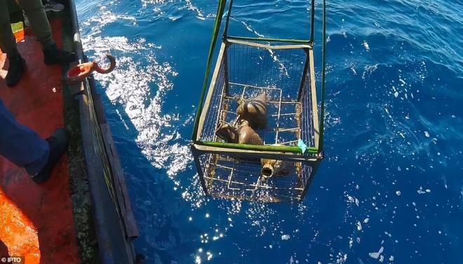 2 bin 500 yıllık enkazdan neler çıktı neler 7