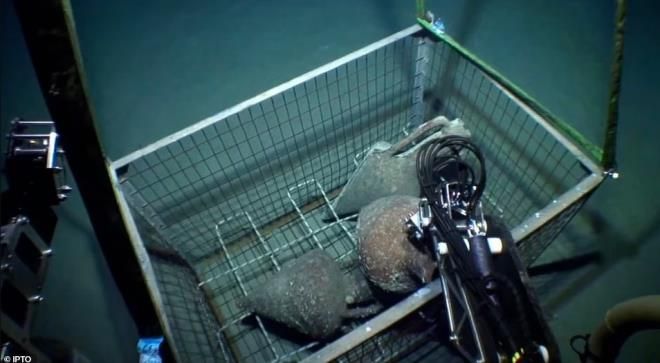 2 bin 500 yıllık enkazdan neler çıktı neler 8