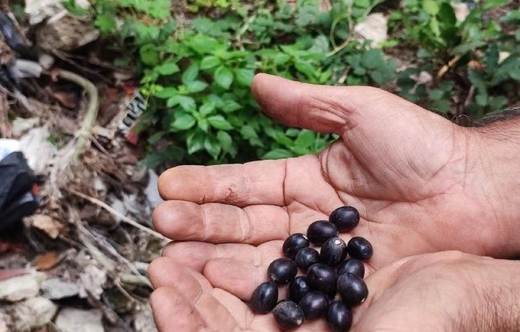 Yapan köşeyi döndü: Kilosu bin 500 TL 3