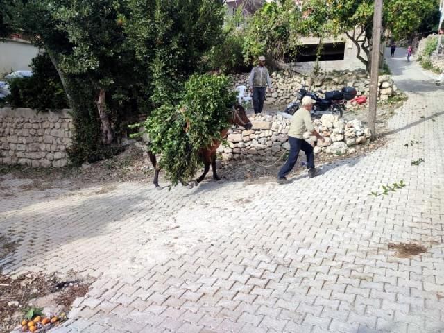 Yapan köşeyi döndü: Kilosu bin 500 TL 6