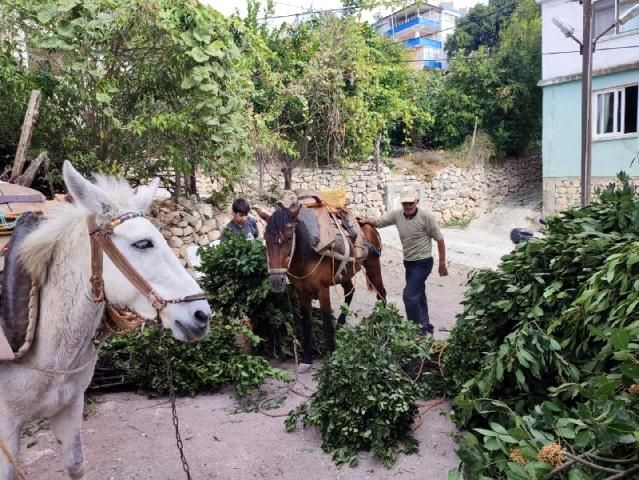 Yapan köşeyi döndü: Kilosu bin 500 TL 9