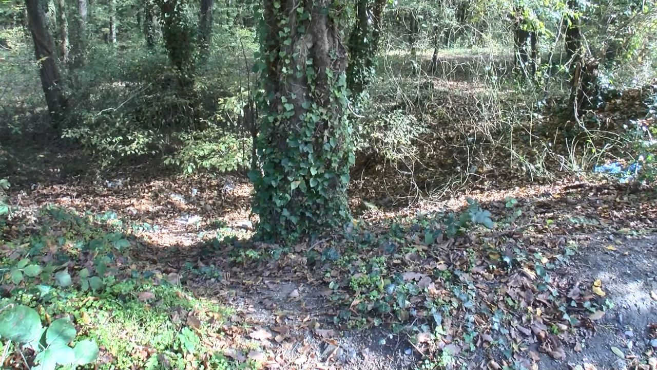 Kemerburgaz'da korkunç manzara! 1