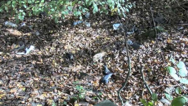 Kemerburgaz'da korkunç manzara! 6