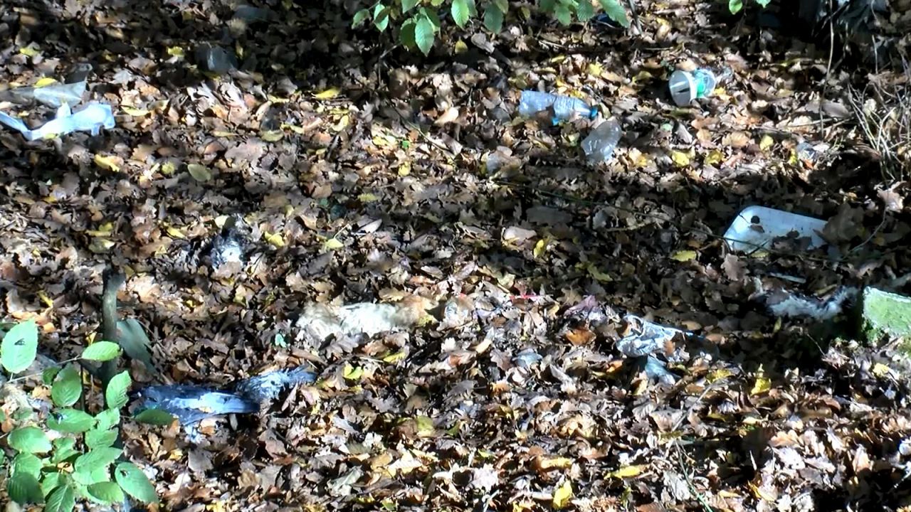 Kemerburgaz'da korkunç manzara! 7