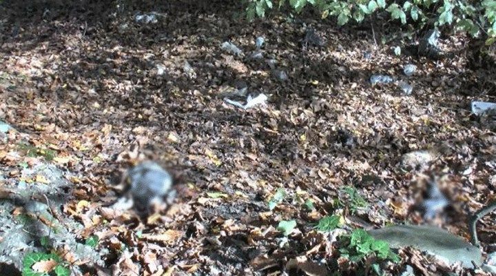 Kemerburgaz'da korkunç manzara! 8