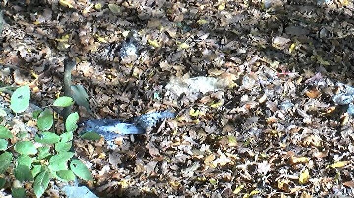 Kemerburgaz'da korkunç manzara! 9