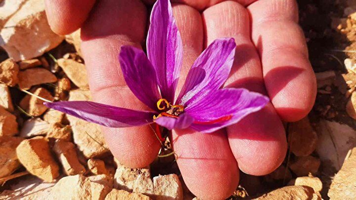 Deneme amaçlı başladılar, 25 bin lira gelir elde ediyorlar! 1