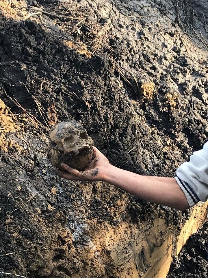 Aydın'da bir okulun bahçesinde kafatası bulundu 1