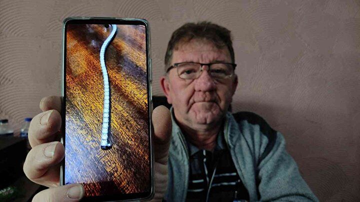 Değeri 2 milyon! Sahibine teslim edince terslendi 4