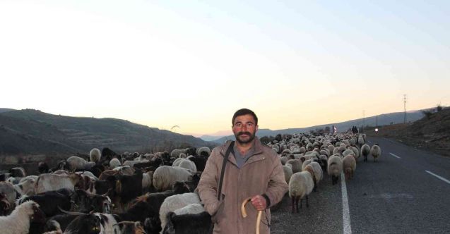 10 bin lira maaşla çalıştıracak çoban bulamıyorlar! 5