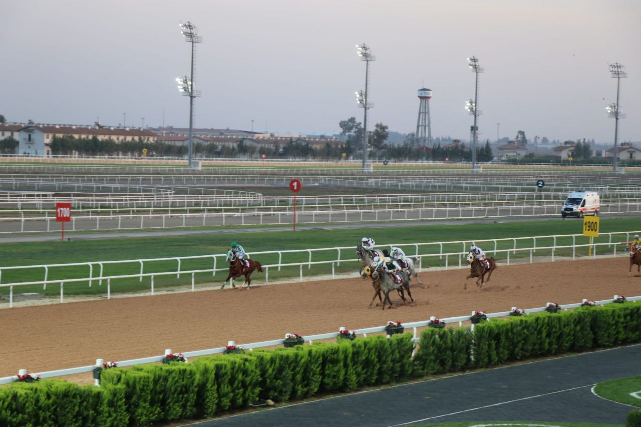 Pozantı Belediye Başkanlığı koşusunu 'Asrın Pehlivanı' kazandı 3