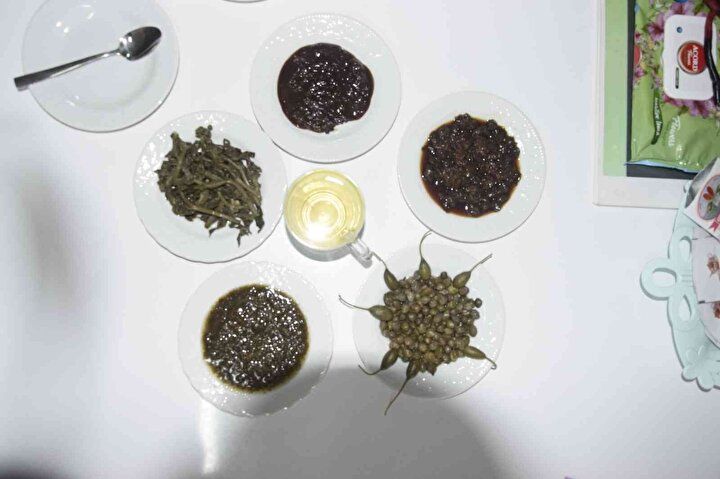 Yurt dışına ihraç etti, paraya para demiyor: Bizi kandırmışlar 4