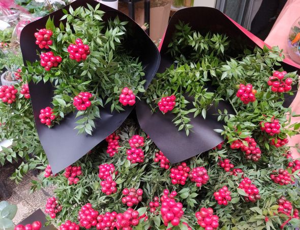 25 TL'ye ev sahibi olmak için çiçekçiye akın ediyorlar 6