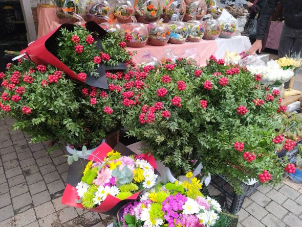 25 TL'ye ev sahibi olmak için çiçekçiye akın ediyorlar 7