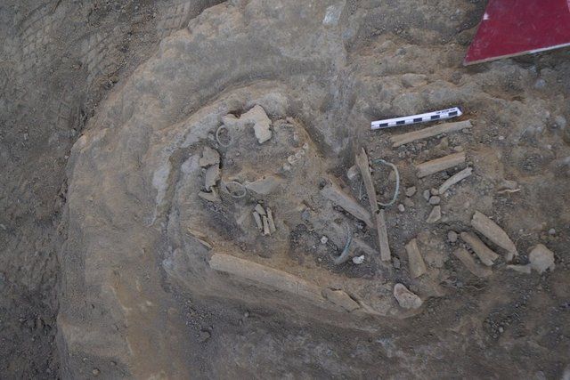 Van'da ilk kez bulundu! "Büyük ses getirecek" 10